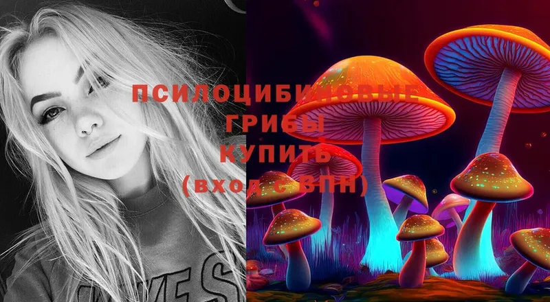 Псилоцибиновые грибы Psilocybe Куровское