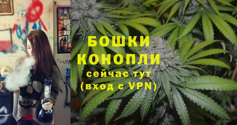 Бошки марихуана THC 21%  как найти наркотики  Куровское 